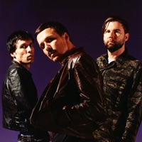 The Cribs