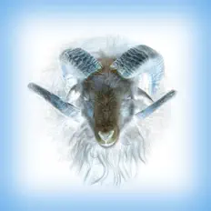 Ouve Remina, vê vídeos de música, lê a biografia, vê as datas da digressão e muito mais!