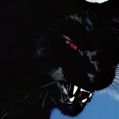 Findingrxce सुनें, म्यूज़िक वीडियो देखें, बायो पढ़ें, दौरे की तारीखें और बहुत कुछ देखें!