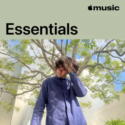 Listen to Dirty Projectors Essentials featuring Dirty Projectors