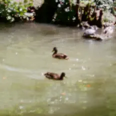 Poslechněte si interpreta Lost Trails, sledujte hudební videa, přečtěte si životopis, podívejte se na data turné a další informace.