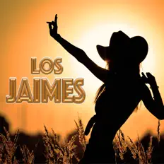 Los Jaimesを聴いたり、ミュージックビデオを鑑賞したり、経歴やツアー日程などを確認したりしましょう！