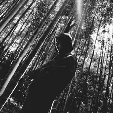 noma(D) सुनें, म्यूज़िक वीडियो देखें, बायो पढ़ें, दौरे की तारीखें और बहुत कुछ देखें!