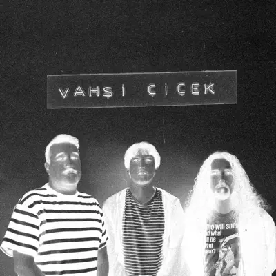Listen to Vahşi Çiçek, watch music videos, read bio, see tour dates & more!