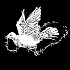 Listen to Placid State, watch music videos, read bio, see tour dates & more!