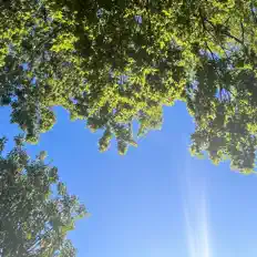 Escucha a AROY, mira videos musicales, lee su biografía, consulta las fechas de las gira y más.