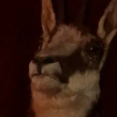 Listen to The Wrote, watch music videos, read bio, see tour dates & more!