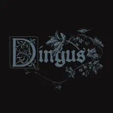 Dingus.: песни, клипы, биография, даты выступлений и многое другое.