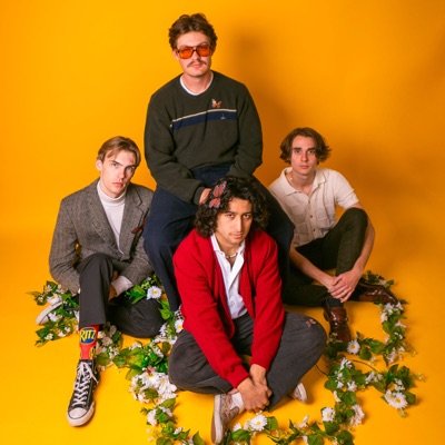 Listen to Flamingos in the Tree, watch music videos, read bio, see tour dates & more!