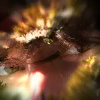 Listen to undefined, watch music videos, read bio, see tour dates & more!