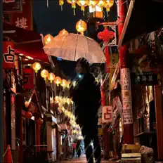 聆聽 K1M1、觀看音樂影片、閱讀小傳、查看巡演日期等！