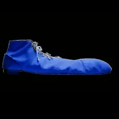 Ouve BigBlueShoe, vê vídeos de música, lê a biografia, vê as datas da digressão e muito mais!