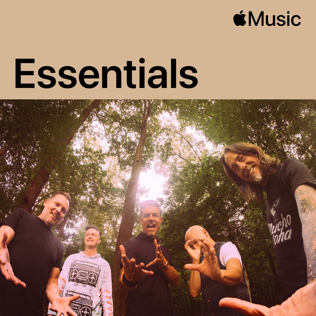311 Essentials
