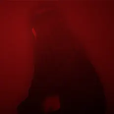 Katelyn Sienna을(를) 듣고, 뮤직 비디오를 보고, 약력을 읽고, 투어 일정 등을 확인하세요!