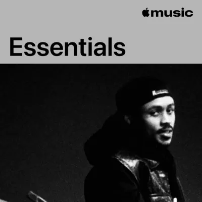 Ascolta The Big Hash Essentials con FLVME