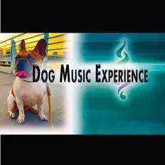 Listen to Dog Music Experience, watch music videos, read bio, see tour dates & more!