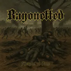 Bayonettedを聴いたり、ミュージックビデオを鑑賞したり、経歴やツアー日程などを確認したりしましょう！