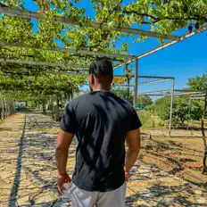 Écoutez KingNorse, regardez des vidéoclips, lisez la biographie, consultez les dates de tournée et plus encore !