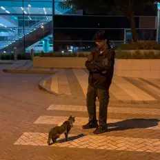 Listen to Meheran, watch music videos, read bio, see tour dates & more!