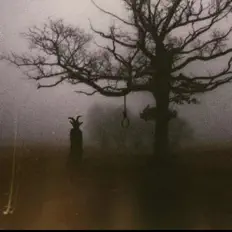 Listen to Mxrda, watch music videos, read bio, see tour dates & more!