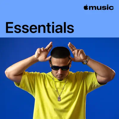 Listen to Dhanda Nyoliwala Essentials featuring Dhanda Nyoliwala