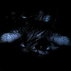 Hör dir redwater an, schau dir Musikvideos an, lies die Biografie, finde Tourdaten und mehr!