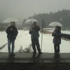 Listen to Futomomo Jisatsu, watch music videos, read bio, see tour dates & more!