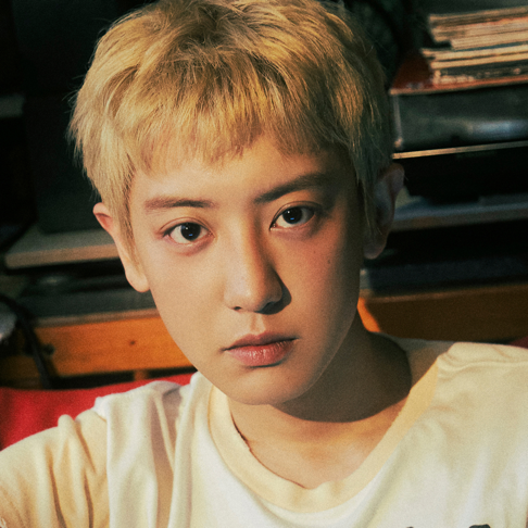 CHANYEOL - Apple Music
