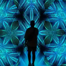 Listen to RAYLYN REALITY, watch music videos, read bio, see tour dates & more!