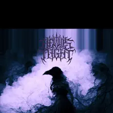 收听 Devil's Night、观看音乐视频、阅读小传、查看巡演日期等 ！