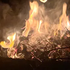 Froholik dinle, müzik videolarını izle, biyografisini oku, tur tarihlerini ve daha fazlasını gör!