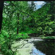 Listen to Tha Lonewolf, watch music videos, read bio, see tour dates & more!