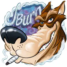 收听 J Burn、观看音乐视频、阅读小传、查看巡演日期等 ！