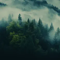 Dengarkan Hope Alive, tonton video musik, baca bio, lihat tanggal tur & lainnya!