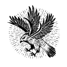 Luister naar Superbird, bekijk muziekvideo's, lees de bio, bekijk de tourdata, en meer!