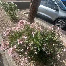 Poslechněte si interpreta Heyiso, sledujte hudební videa, přečtěte si životopis, podívejte se na data turné a další informace.