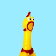 Toy Rampage!を聴いたり、ミュージックビデオを鑑賞したり、経歴やツアー日程などを確認したりしましょう！