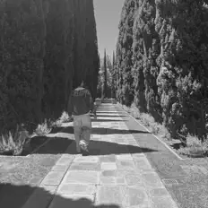 Hör dir cig west an, schau dir Musikvideos an, lies die Biografie, finde Tourdaten und mehr!