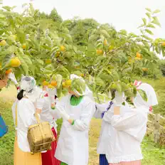 Dengarkan Fujin Club, tonton video musik, baca bio, lihat tanggal tur & lainnya!