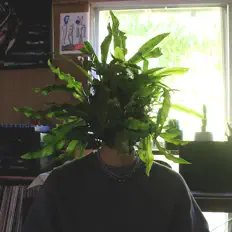 聆聽 cheapWord、觀看音樂影片、閱讀小傳、查看巡演日期等！