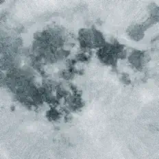 new year's project सुनें, म्यूज़िक वीडियो देखें, बायो पढ़ें, दौरे की तारीखें और बहुत कुछ देखें!