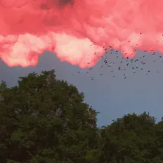 Prysh을(를) 듣고, 뮤직 비디오를 보고, 약력을 읽고, 투어 일정 등을 확인하세요!