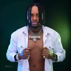 收听 Pshowpray、观看音乐视频、阅读小传、查看巡演日期等 ！