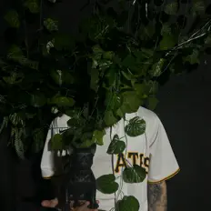 Listen to Lid, watch music videos, read bio, see tour dates & more!