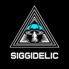 Listen to Siggidelic, watch music videos, read bio, see tour dates & more!