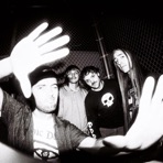 the Gontiks