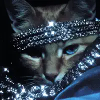 undefined: песни, клипы, биография, даты выступлений и многое другое.