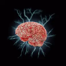 Total Bummer: песни, клипы, биография, даты выступлений и многое другое.