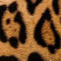 Hör dir undefined an, schau dir Musikvideos an, lies die Biografie, finde Tourdaten und mehr!