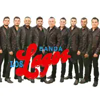 收听 undefined、观看音乐视频、阅读小传、查看巡演日期等 ！